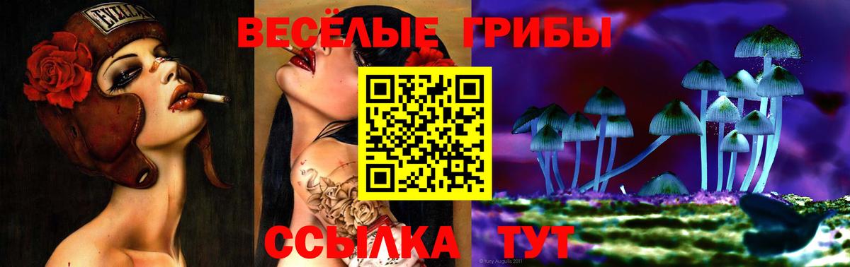 где можно купить наркотик  Галлюциногенные грибы мицелий  Вход с VPN  Ульяновск 